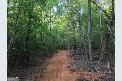 8 Bunch Road, Tignall, GA 30668 - Photo 72