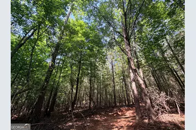 8 Bunch Road, Tignall, GA 30668 - Photo 24