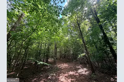 8 Bunch Road, Tignall, GA 30668 - Photo 30