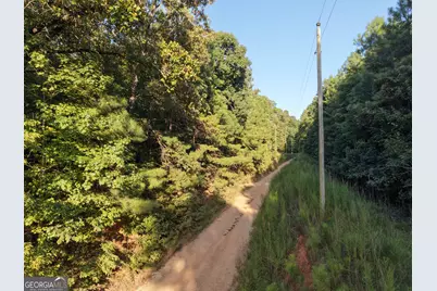 8 Bunch Road, Tignall, GA 30668 - Photo 44