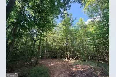 8 Bunch Road, Tignall, GA 30668 - Photo 50