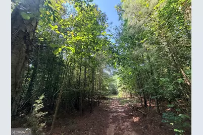 8 Bunch Road, Tignall, GA 30668 - Photo 48
