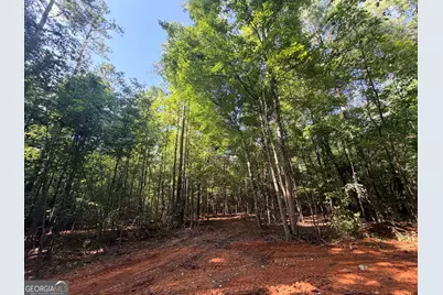 8 Bunch Road, Tignall, GA 30668 - Photo 64