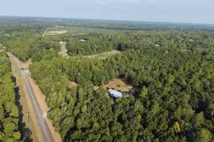 482 Campers Haven Rd, Vienna, GA 31092 - Photo 10
