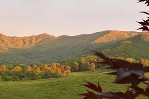 206 Bethabara Loop, Hayesville, NC 28904 - Photo 46