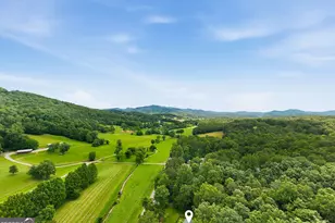 3426 Old Hwy 64 W, Warne, NC 28909 - Photo 32
