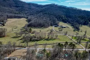 3426 Old Hwy 64 W, Warne, NC 28909 - Photo 36