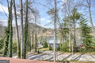 390 Bursey Rd, Hiawassee, GA 30546 - Photo 44