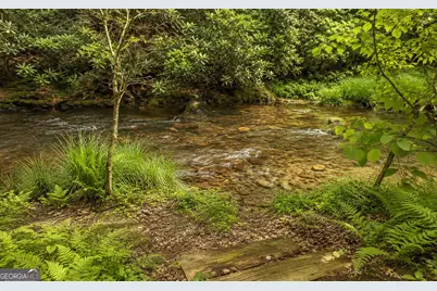 3149 Big Creek Road, Cherry Log, GA 30522 - Photo 4