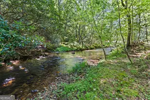3149 Big Creek Rd, Cherry Log, GA 30522 - Photo 62