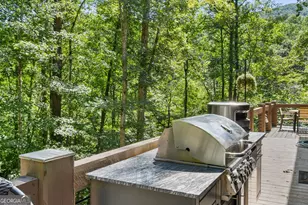 3149 Big Creek Rd, Cherry Log, GA 30522 - Photo 36