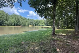 1917 Al Roberts Rd, Senoia, GA 30276 - Photo 2
