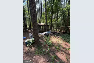 1917 Al Roberts Road, Senoia, GA 30276 - Photo 6