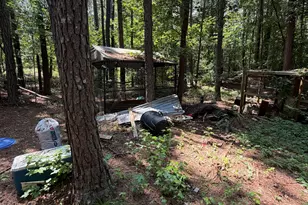 1917 Al Roberts Rd, Senoia, GA 30276 - Photo 6