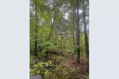 0001 Sandy Cross Road, Crawfordville, GA 30631 - Photo 1