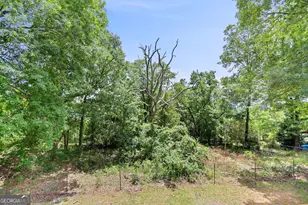 7060 Scenic Heights, Manchester, GA 31816 - Photo 46