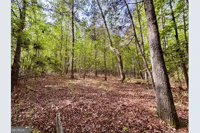 1 Frazier Road, Sparta, GA 31087 - Photo 12