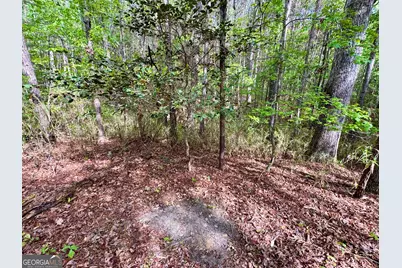 1 Frazier Road, Sparta, GA 31087 - Photo 14