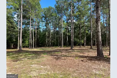 1 Frazier Road, Sparta, GA 31087 - Photo 24