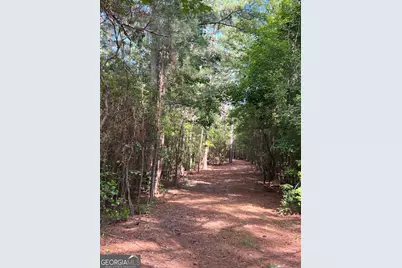 1 Frazier Road, Sparta, GA 31087 - Photo 26
