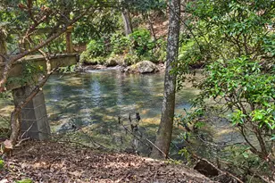 10 Fightingtown Drive, Blue Ridge, GA 30513 - Photo 50