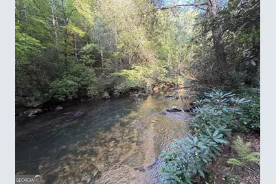 10 Fightingtown Drive, Blue Ridge, GA 30513 - Photo 50