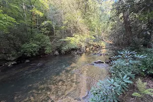 10 Fightingtown Drive, Blue Ridge, GA 30513 - Photo 50