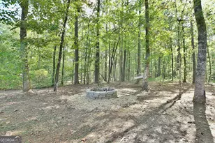 907 Big Sky Dr, Hamilton, GA 31811 - Photo 30