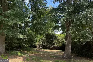 148 Holmes St, Barnesville, GA 30204 - Photo 50