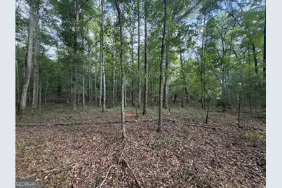 0 Oak Grove Road, Pine Mountain, GA 31822 - Photo 32