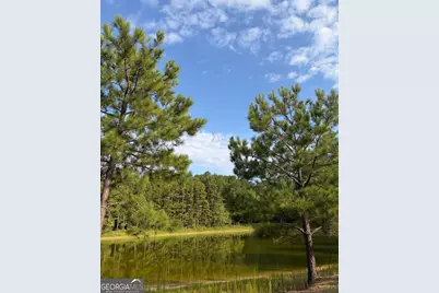 0 Oak Grove Road, Pine Mountain, GA 31822 - Photo 20