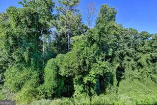 3860 Grandview Manor Dr, Cumming, GA 30028 - Photo 44