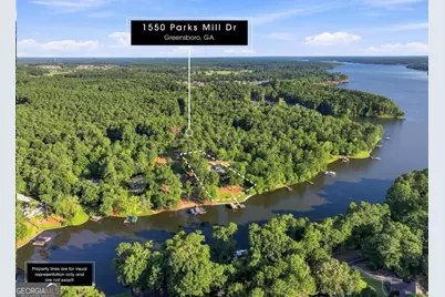 1550 Parks Mill Drive, Greensboro, GA 30642 - Photo 4
