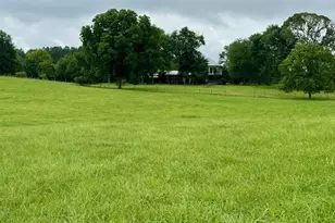 360 Morgan Mill Rd, Brooks, GA 30205 - Photo 72