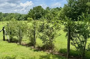 360 Morgan Mill Rd, Brooks, GA 30205 - Photo 68