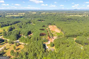 848 Swilling Rd, Martin, GA 30557 - Photo 40