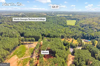 848 Swilling Road, Martin, GA 30557 - Photo 48