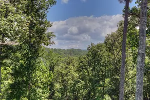 196 N Jakes Landing Way, Ellijay, GA 30540 - Photo 38