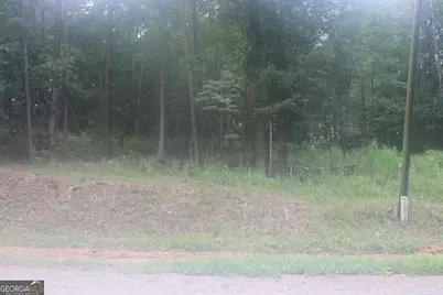 330 Mountain View Road, Lavonia, GA 30553 - Photo 4