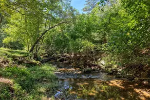 6564 Crooked Creek Rd, Young Harris, GA 30582 - Photo 42