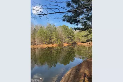 208 Lake Forest Drive, Ellijay, GA 30540 - Photo 10