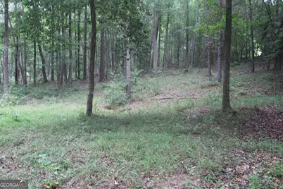 304 Mountain View Road, Lavonia, GA 30553 - Photo 4