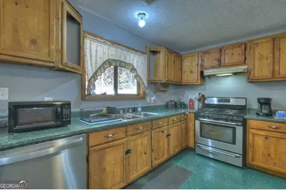 160 Moores Road, Mineral Bluff, GA 30559 - Photo 12