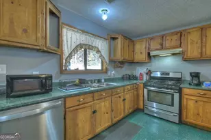 160 Moore's Rd, Mineral Bluff, GA 30559 - Photo 12