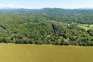 162 Hiawassee River Road Rd, Brasstown, NC 28902 - Photo 50