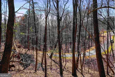 456 Yates Circle, Clarkesville, GA 30523 - Photo 8