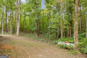 1381 Lincolnton Hwy, Elberton, GA 30635 - Photo 46
