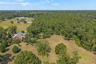 321 Old Hardy Place Rd, Statesboro, GA 30461 - Photo 8