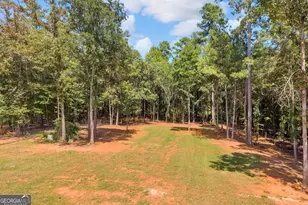 268 Park Pl Dr, Lavonia, GA 30553 - Photo 62