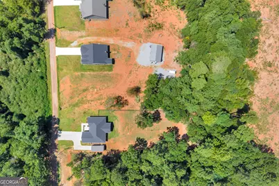 268 Park Place Dr, Lavonia, GA 30553 - Photo 56